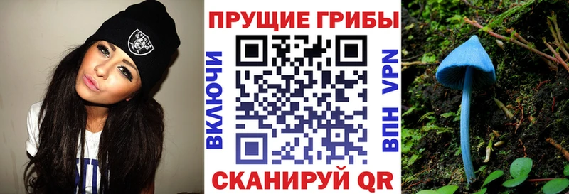 дарк нет Telegram  кракен вход  Карталы  Псилоцибиновые грибы мицелий 
